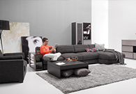 ess hinlim furniture company