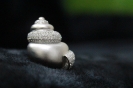 Amelie Collections Sdn Bhd_3
