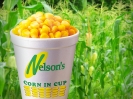Nelson's Franchise (M) Sdn Bhd_3