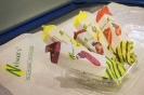 Nelson's Franchise (M) Sdn Bhd_4