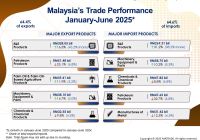 Malaysia's Trade Performance by Products for January to June 2025